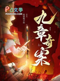 九章奇案